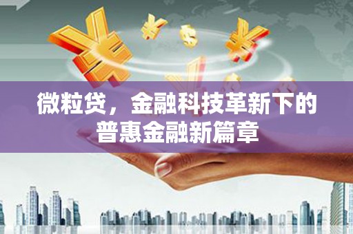 卧龙微粒贷，金融科技革新下的普惠金融新篇章