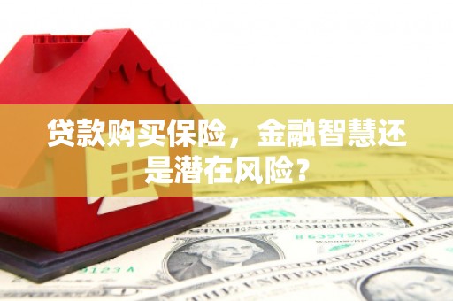 卧龙贷款购买保险，金融智慧还是潜在风险？