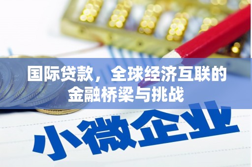 卧龙国际贷款，全球经济互联的金融桥梁与挑战