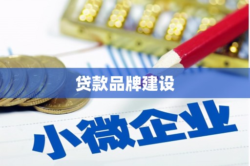 卧龙贷款品牌建设