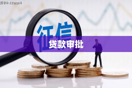 卧龙贷款审批