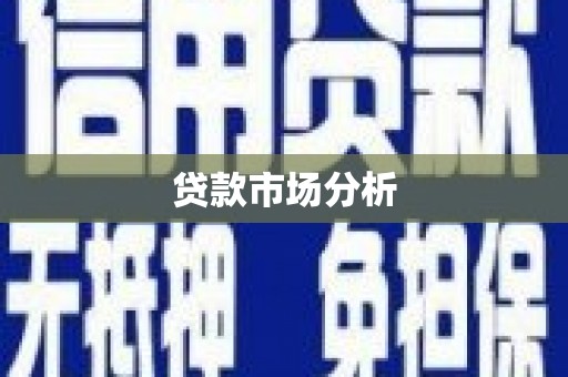 卧龙贷款市场分析