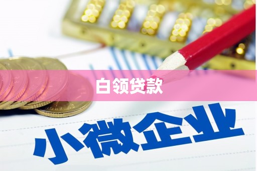 卧龙白领贷款
