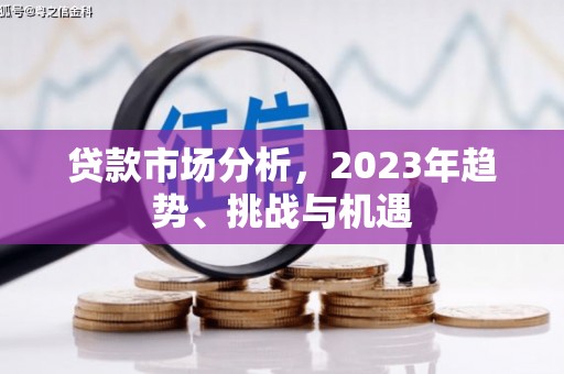 卧龙贷款市场分析，2023年趋势、挑战与机遇