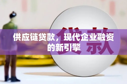 卧龙供应链贷款，现代企业融资的新引擎