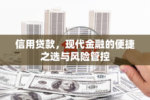 卧龙信用贷款，现代金融的便捷之选与风险管控