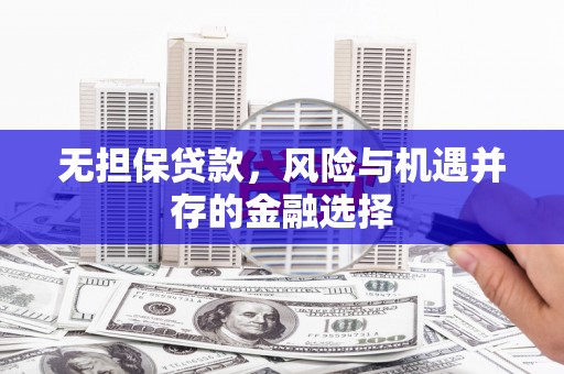卧龙无担保贷款，风险与机遇并存的金融选择