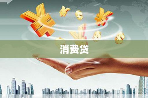 卧龙消费贷