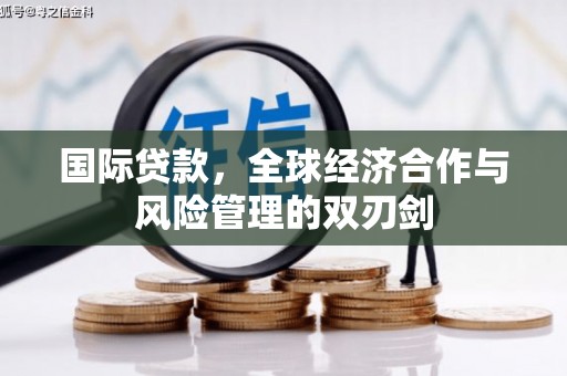 卧龙国际贷款，全球经济合作与风险管理的双刃剑