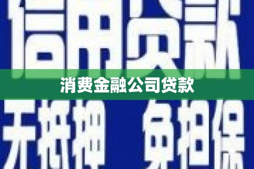卧龙消费金融公司贷款