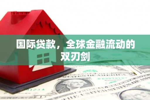 卧龙国际贷款，全球金融流动的双刃剑