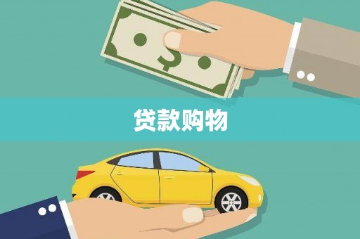 卧龙贷款购物