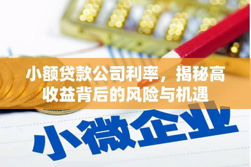 卧龙小额贷款公司利率，揭秘高收益背后的风险与机遇