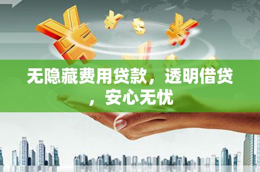 卧龙无隐藏费用贷款，透明借贷，安心无忧