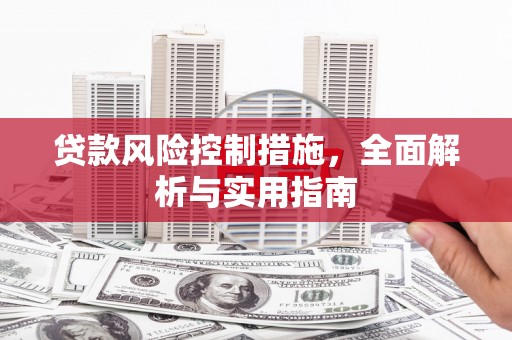 卧龙贷款风险控制措施，全面解析与实用指南