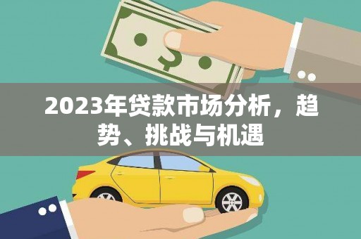 卧龙2023年贷款市场分析，趋势、挑战与机遇
