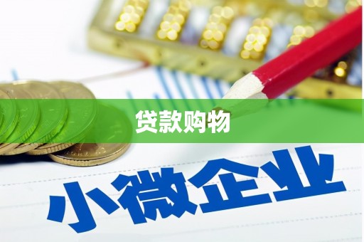 卧龙贷款购物
