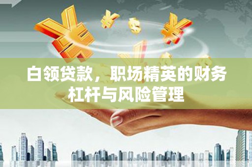 卧龙白领贷款，职场精英的财务杠杆与风险管理