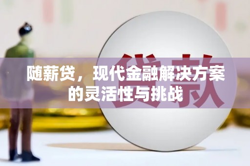 卧龙随薪贷，现代金融解决方案的灵活性与挑战