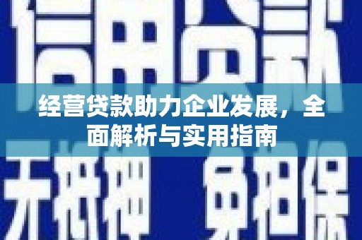 卧龙经营贷款助力企业发展，全面解析与实用指南