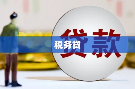 卧龙税务贷