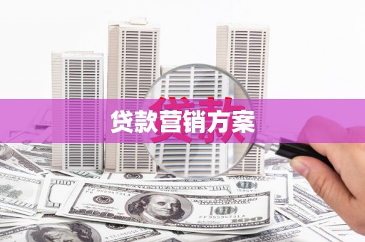 卧龙贷款营销方案