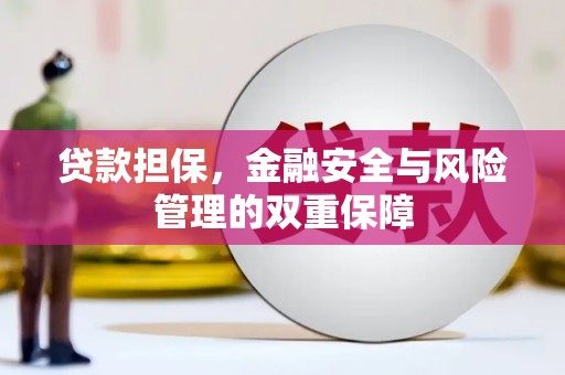 卧龙贷款担保，金融安全与风险管理的双重保障