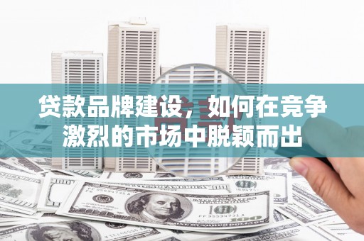 卧龙贷款品牌建设，如何在竞争激烈的市场中脱颖而出