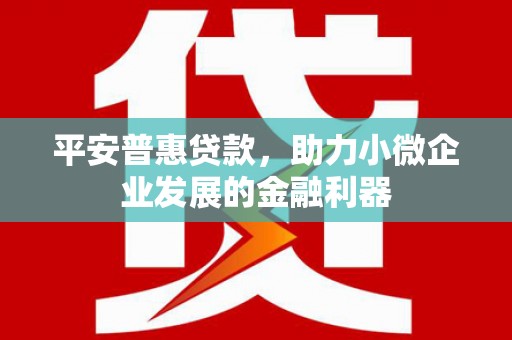 卧龙平安普惠贷款，助力小微企业发展的金融利器