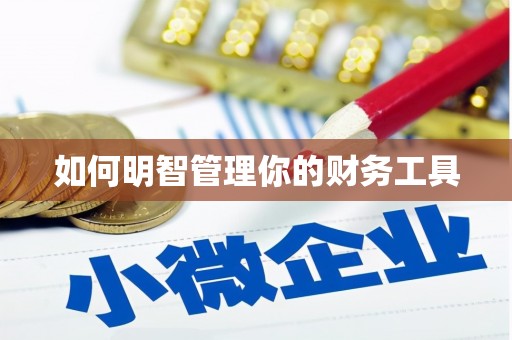 卧龙如何明智管理你的财务工具