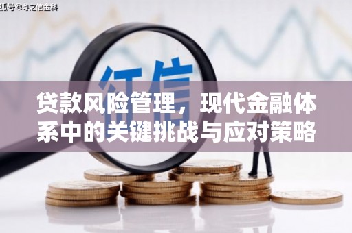 卧龙贷款风险管理，现代金融体系中的关键挑战与应对策略