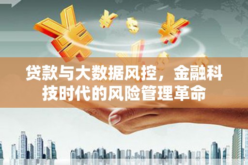 卧龙贷款与大数据风控，金融科技时代的风险管理革命