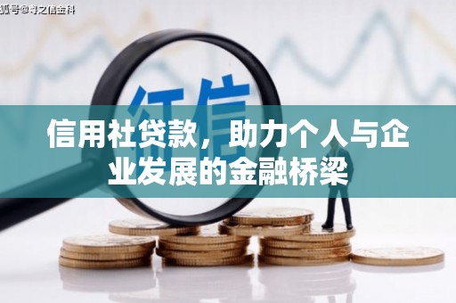 卧龙信用社贷款，助力个人与企业发展的金融桥梁