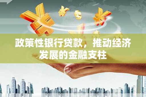 卧龙政策性银行贷款，推动经济发展的金融支柱
