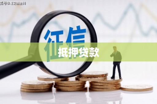 卧龙抵押贷款