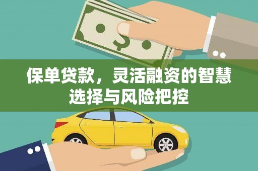 卧龙保单贷款，灵活融资的智慧选择与风险把控