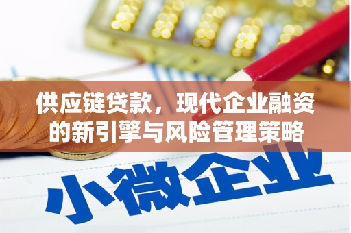 卧龙供应链贷款，现代企业融资的新引擎与风险管理策略
