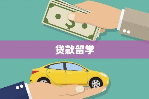 卧龙贷款留学