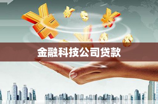 卧龙金融科技公司贷款