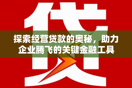卧龙探索经营贷款的奥秘，助力企业腾飞的关键金融工具