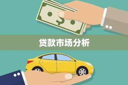 卧龙贷款市场分析