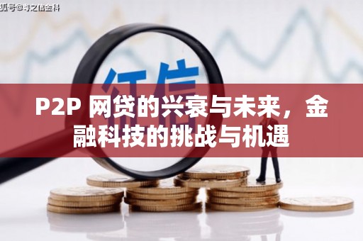 卧龙P2P 网贷的兴衰与未来，金融科技的挑战与机遇
