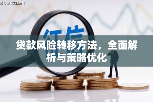 卧龙贷款风险转移方法，全面解析与策略优化