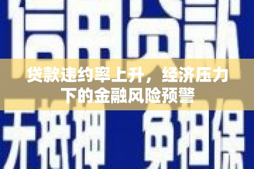 卧龙贷款违约率上升，经济压力下的金融风险预警