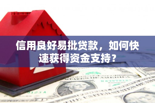 卧龙信用良好易批贷款，如何快速获得资金支持？
