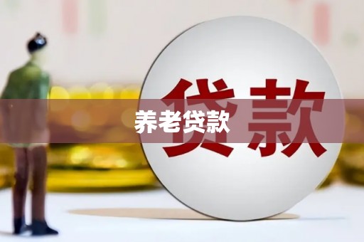 卧龙养老贷款