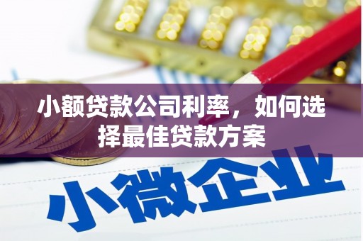 卧龙小额贷款公司利率，如何选择最佳贷款方案