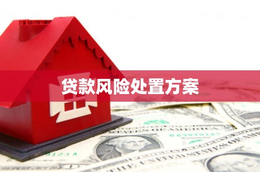 卧龙贷款风险处置方案