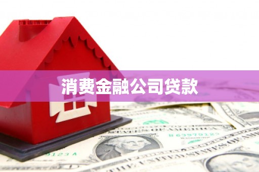 卧龙消费金融公司贷款