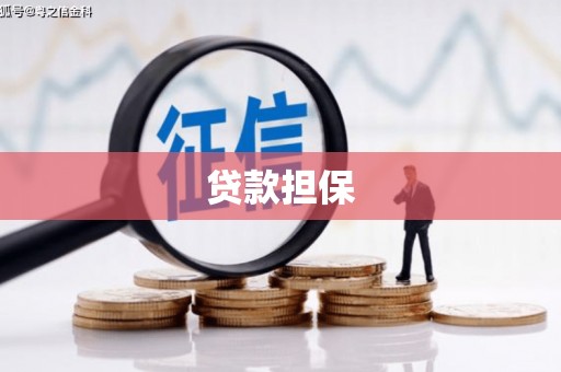 卧龙贷款担保